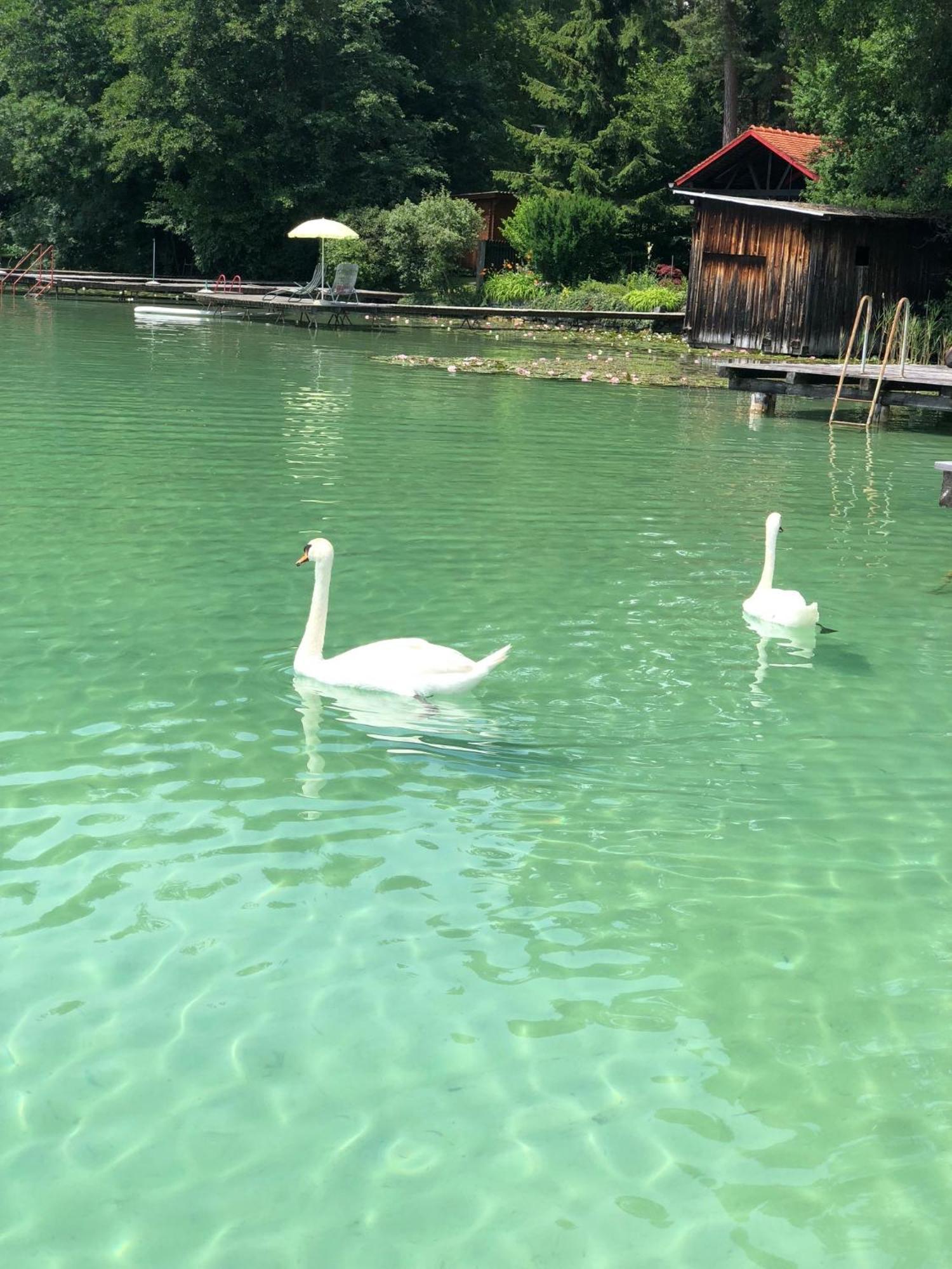 Hotel Alex Sankt Kanzian am Klopeiner See Buitenkant foto