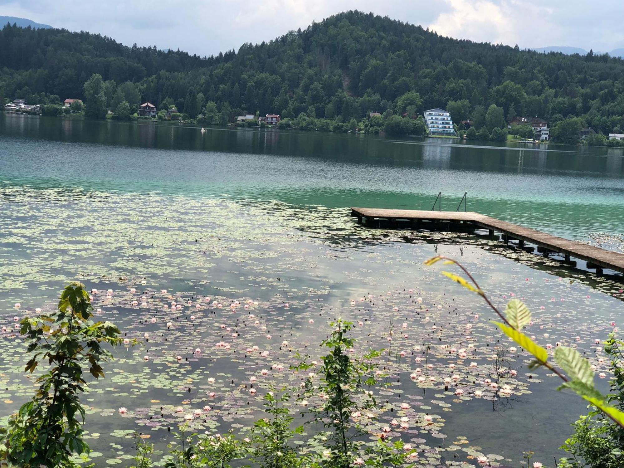 Hotel Alex Sankt Kanzian am Klopeiner See Buitenkant foto